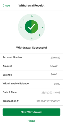 PayPal withdrawal processing interface